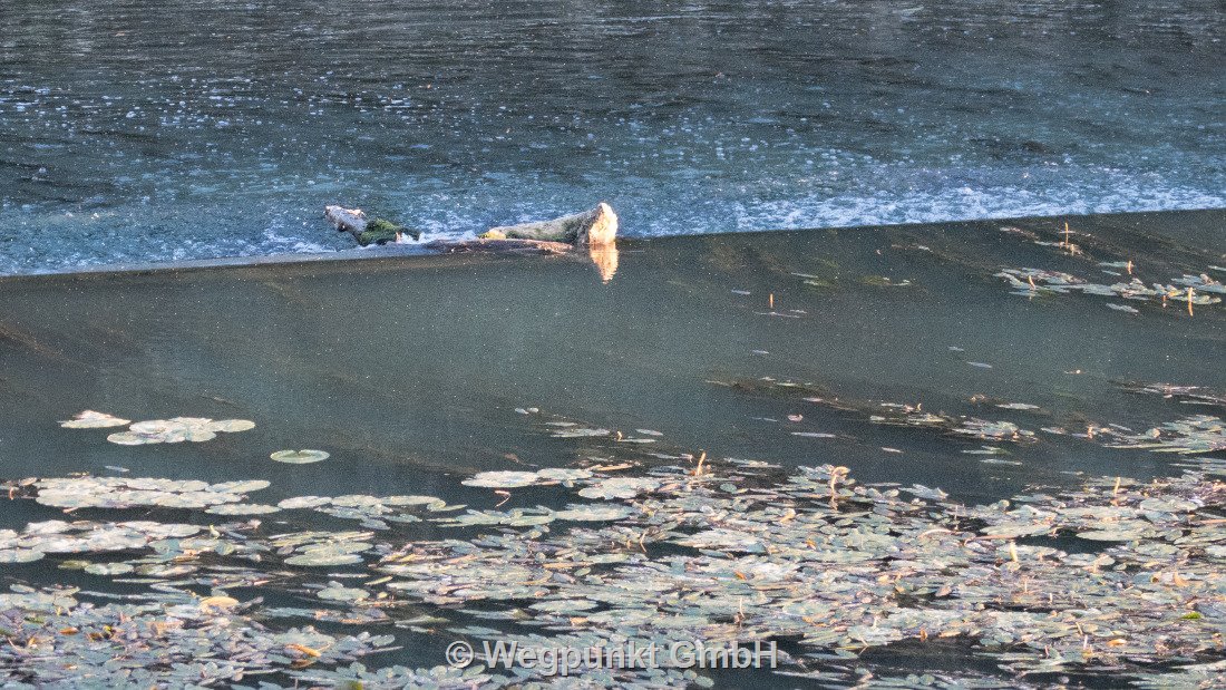 die Wehre sind mit  Stahlseilen und Bojen gegen wildgewordene Hausbootfahrer geschützt